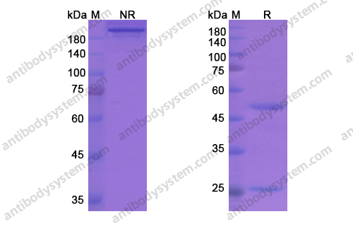 Research Grade Garadacimab