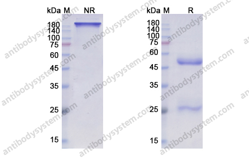Research Grade Pozelimab