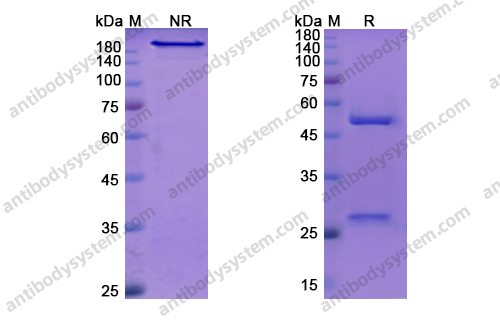 Research Grade Faralimomab