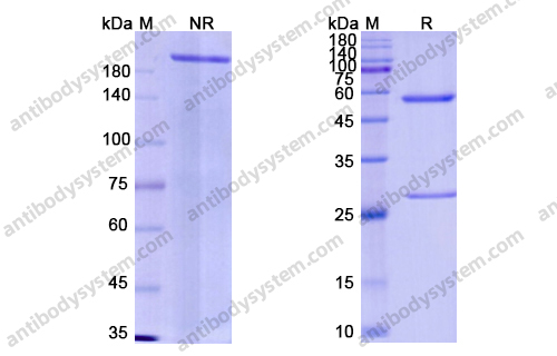 Research Grade Emapalumab