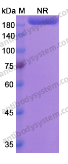 Research Grade Lutikizumab
