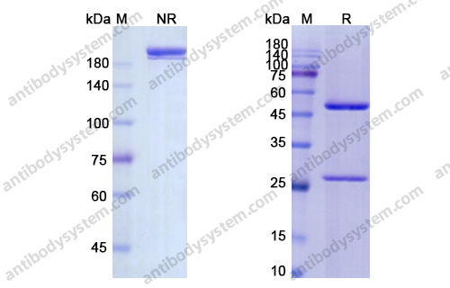 Research Grade Cedelizumab