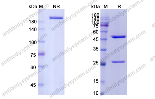 Research Grade Keliximab