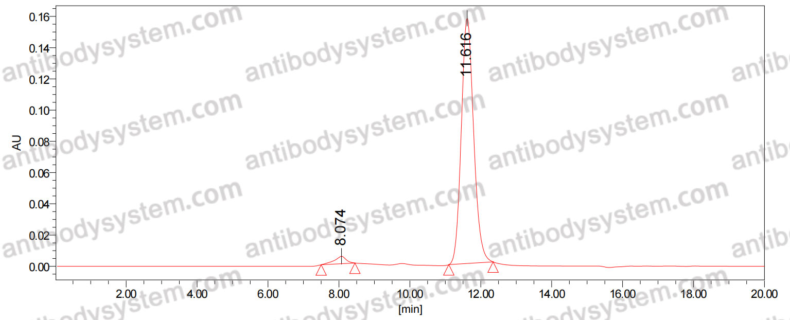 Research Grade Anti-Human ATTR/Transthyretin amyloidosis Antibody (NI-006)