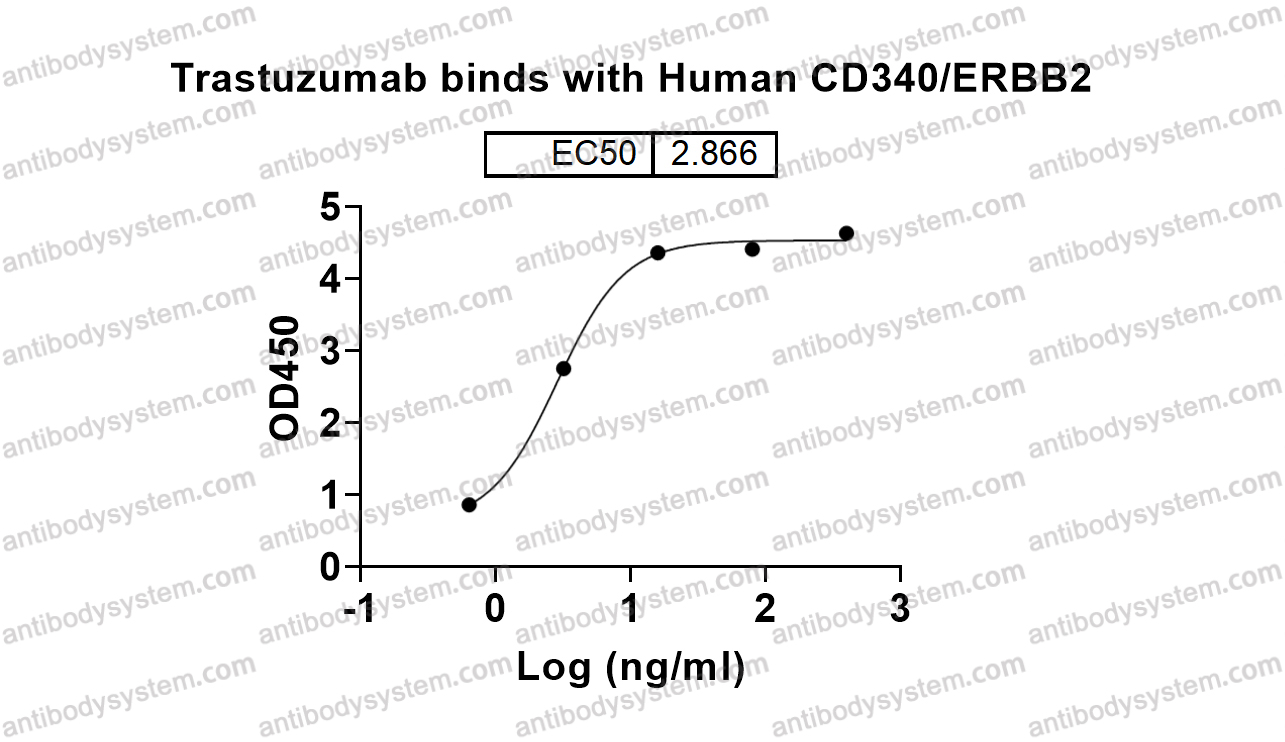 Bioactivity for Research Grade Trastuzumab ?>