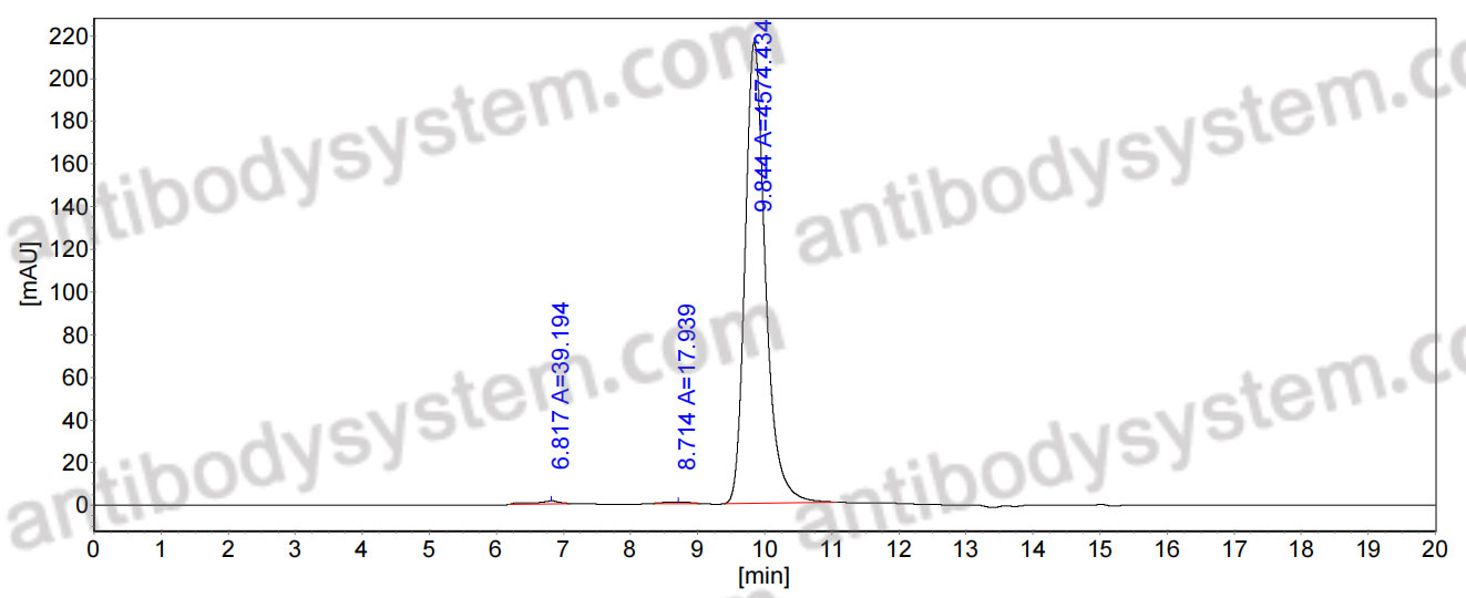 Research Grade Anti-Human CD340/ERBB2/HER2/NEU (XMT-1522)