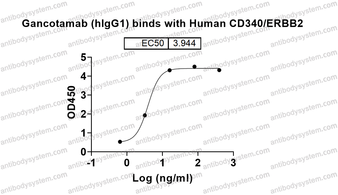 Research Grade Gancotamab (hIgG1)