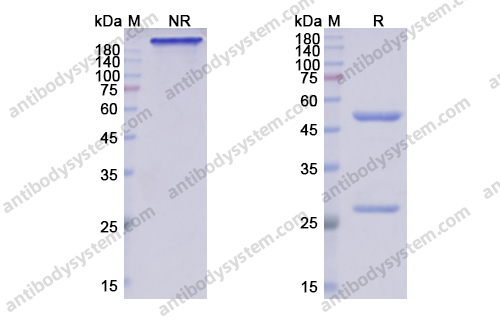 Research Grade Crenezumab