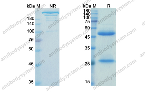 Research Grade Ziltivekimab
