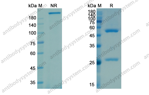 Research Grade Galcanezumab