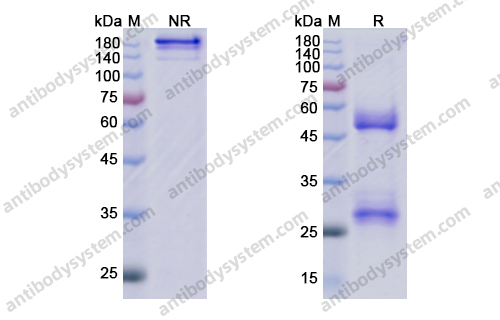 Research Grade Eptinezumab