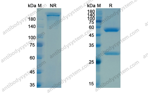 Research Grade Cabiralizumab