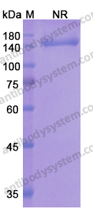 Research Grade Onartuzumab