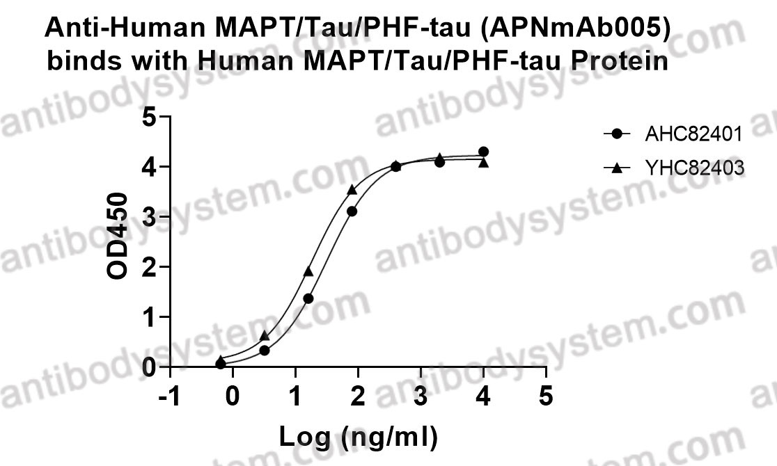 Research Grade Anti-Human MAPT/Tau/PHF-tau (APNmAb005)