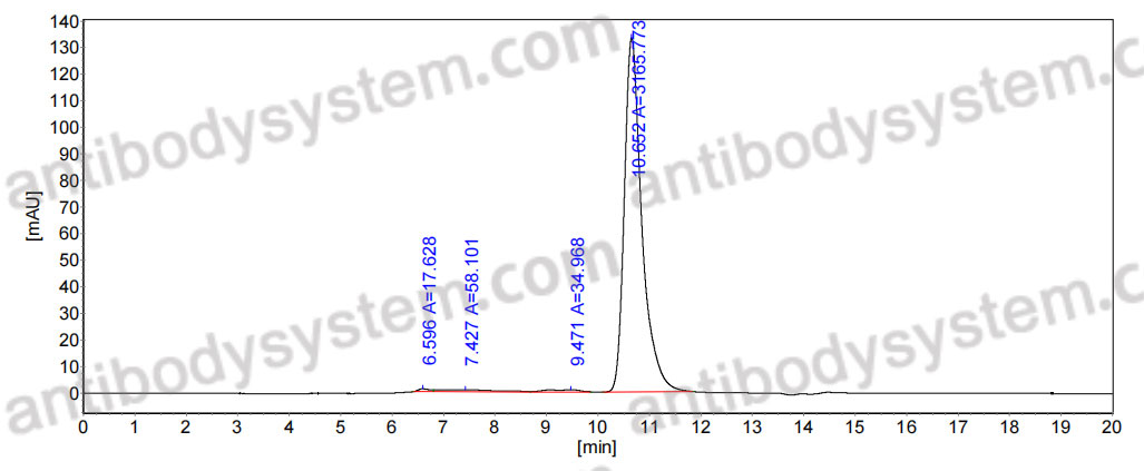 Research Grade Anti-Human MAPT/Tau/PHF-tau (CBTAU-24.1)