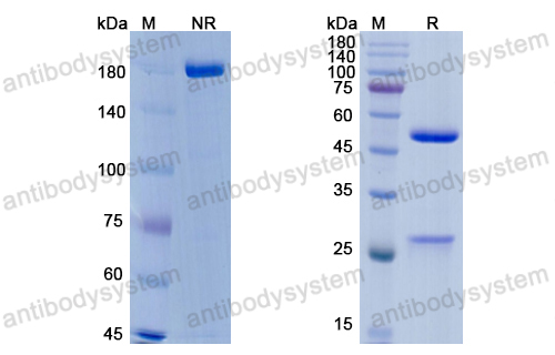 Research Grade Divozilimab