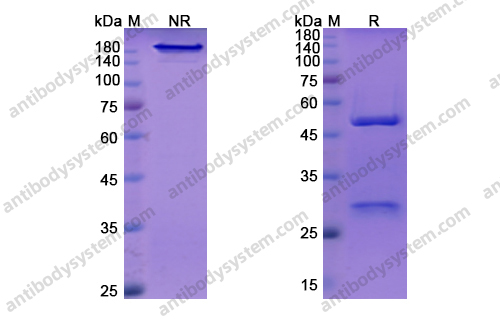 Research Grade Vedolizumab