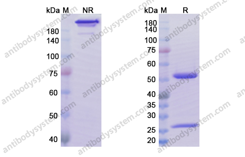 Research Grade Abrilumab