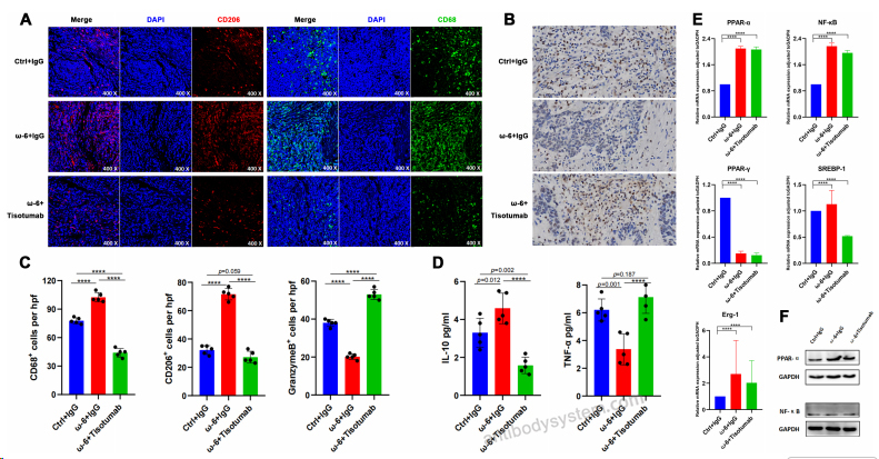 Bioactivity for Research Grade Tisotumab ?>