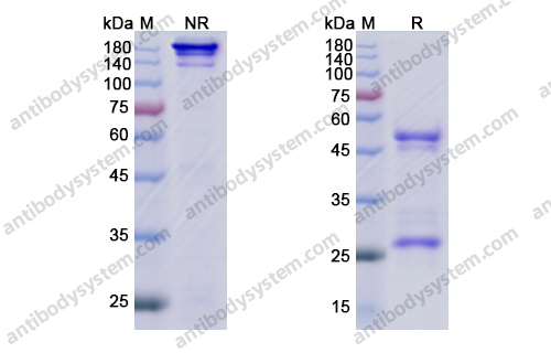 Research Grade Varisacumab