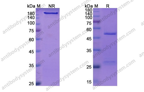 Research Grade Crizanlizumab