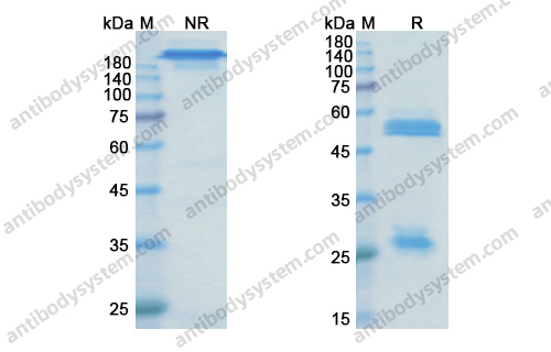 Research Grade Olaratumab