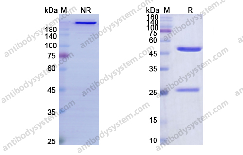 Research Grade Flanvotumab