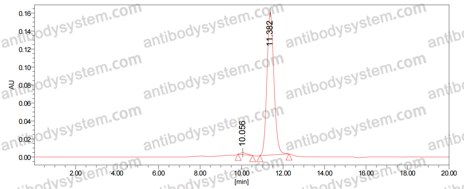 Research Grade Anti-Human IL11 Antibody (BI 765423)