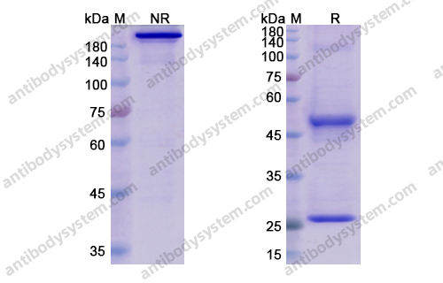 Research Grade Elgemtumab