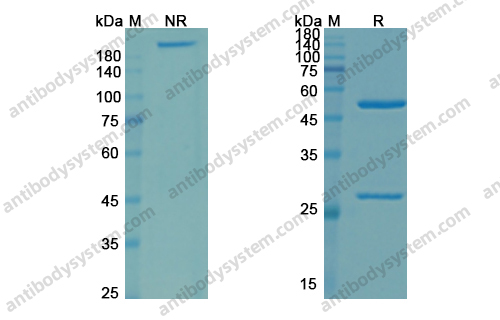 Research Grade Zampilimab
