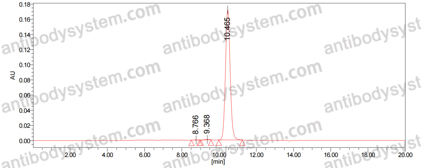 Research Grade Anti-Human CDH3/P-cadherin (PCA062)