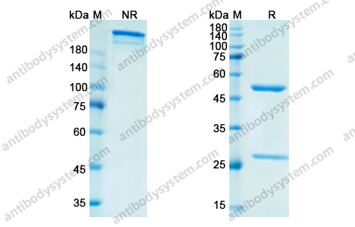Research Grade Vofatamab