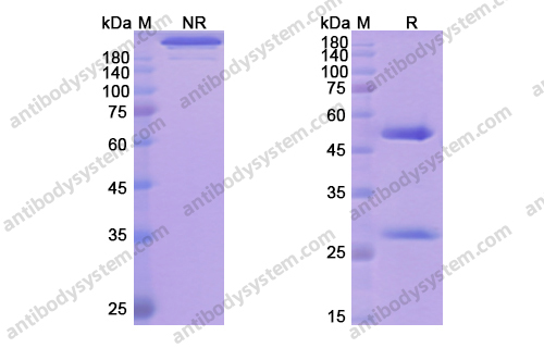 Research Grade Teneliximab