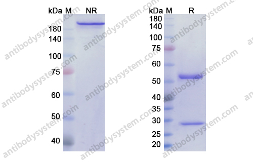Research Grade Monalizumab