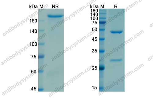 Research Grade Gatralimab
