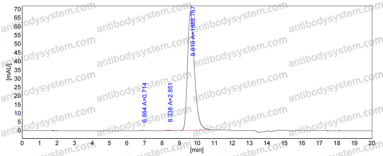 Research Grade Anti-Human CD32b/FCGR2B (2B6)