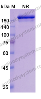 Research Grade Romilkimab