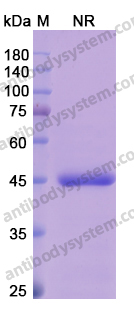 Research Grade Abrezekimab
