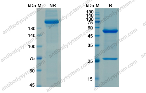 Research Grade Ascrinvacumab