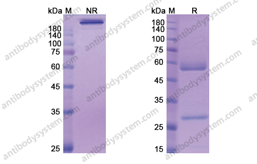 Research Grade Volagidemab