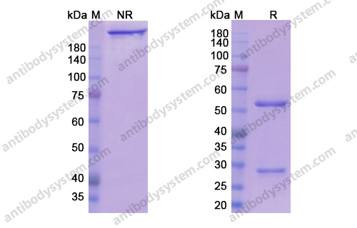 Research Grade Crotedumab