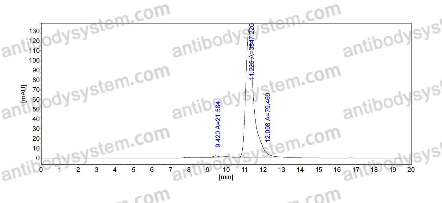Research Grade Anti-Human CDH6/Cadherin-6 (HKT288)