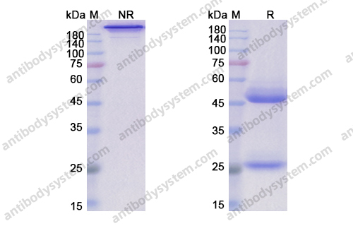 Research Grade Lerdelimumab