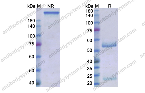 Research Grade Roledumab