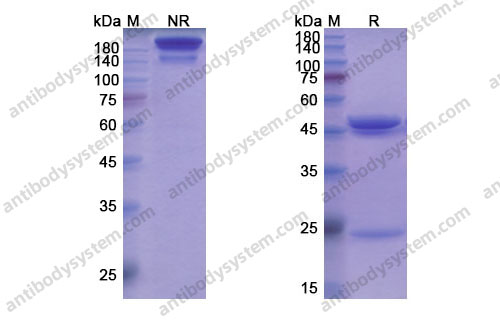 Research Grade Capromab
