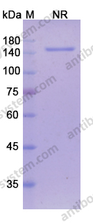 Research Grade Tarextumab