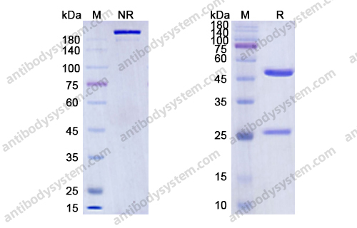 Research Grade Spartalizumab