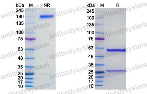 Research Grade Liscastobart