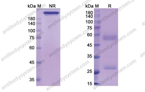 Research Grade Perakizumab
