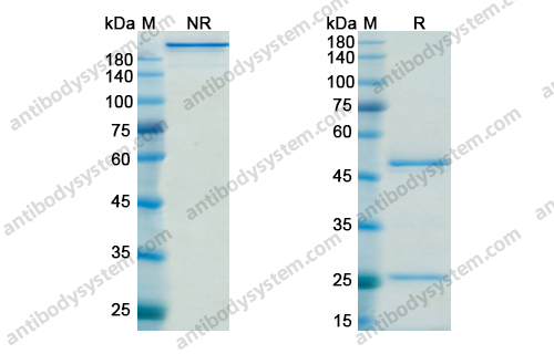 Research Grade Timolumab